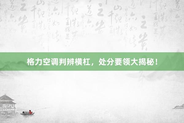 格力空调判辨横杠，处分要领大揭秘！